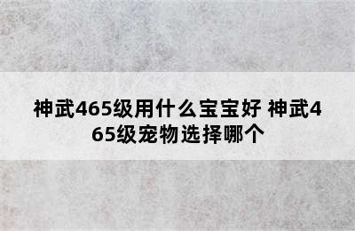 神武465级用什么宝宝好 神武465级宠物选择哪个